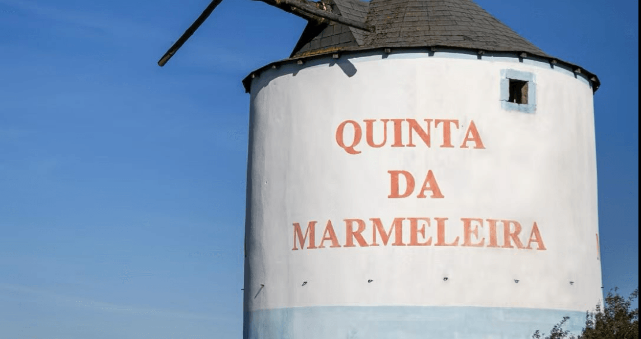 Alenquer: Quinta da Marmeleira promove encontro económico entre a lusofonia e a China